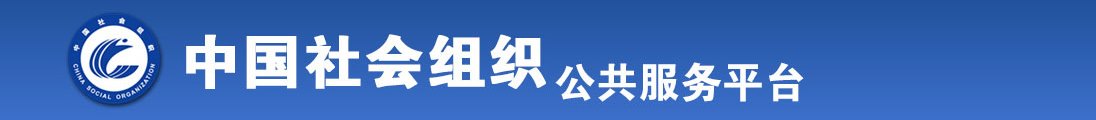 www.艹bb全国社会组织信息查询